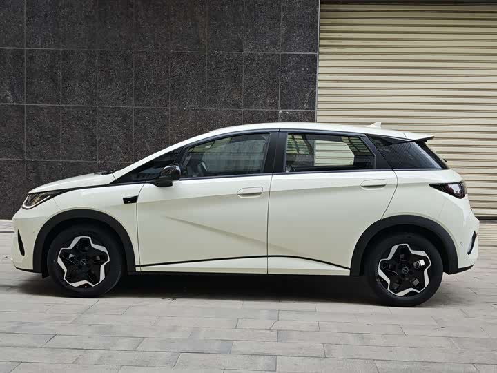 Фото 7 - BYD Dolphin