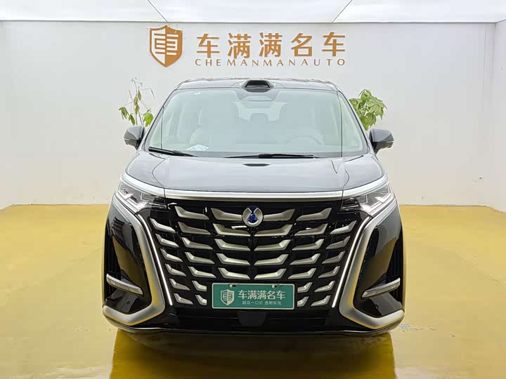 Фото 2 - Denza D9