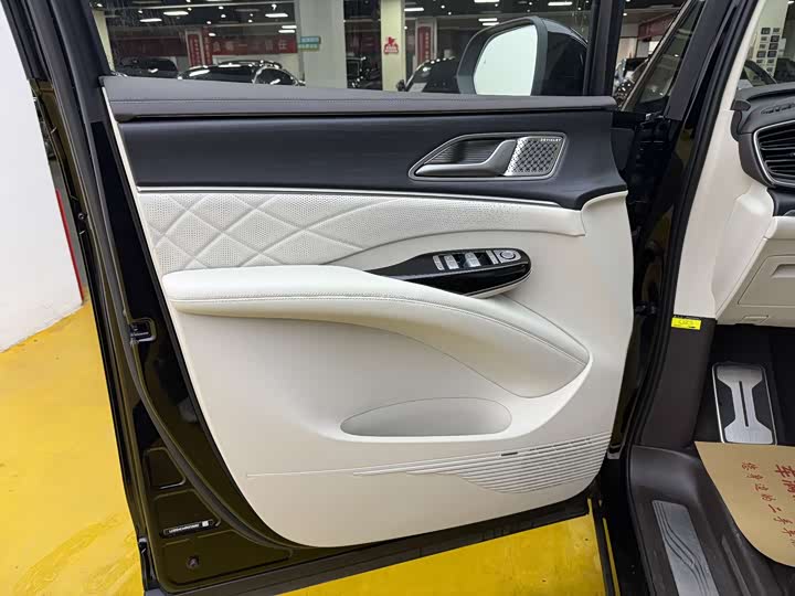 Фото 3 - Denza D9