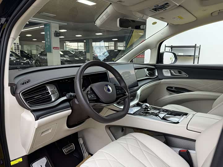 Фото 5 - Denza D9