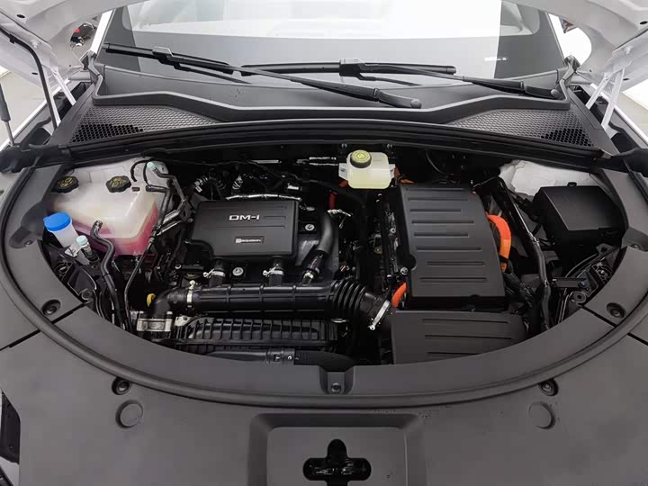 Фото 6 - BYD Song Plus Hybrid/EV