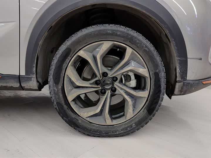 Фото 6 - Haval F7 (Monster)