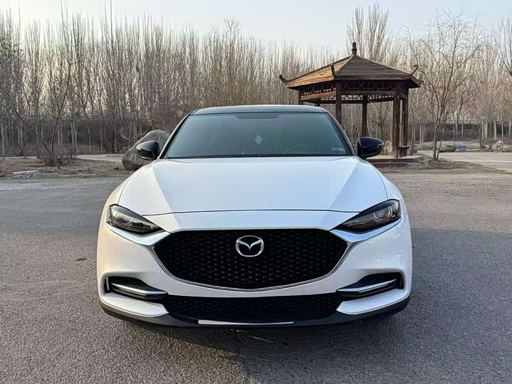 Фото 2 - Mazda CX-4