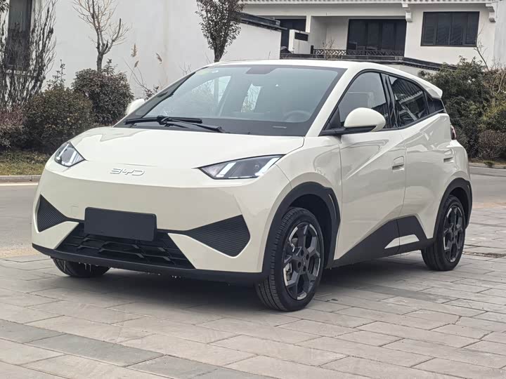 Фото 1 - BYD Seagull