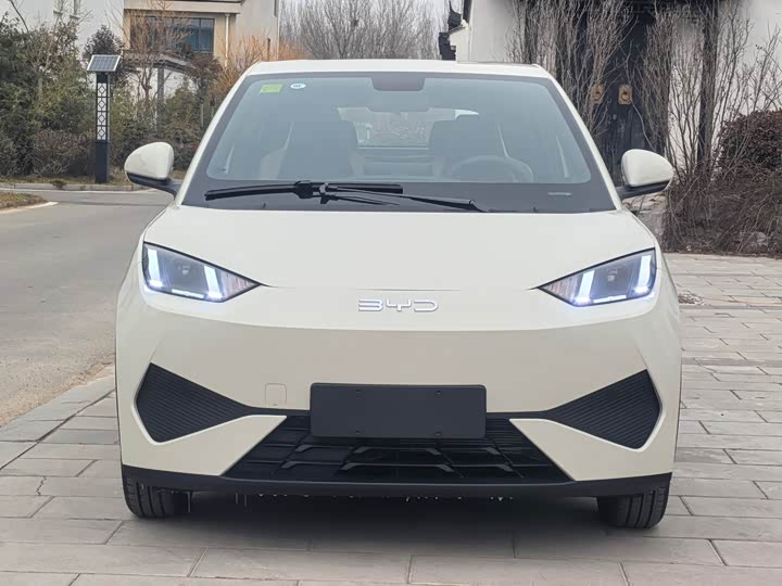 Фото 2 - BYD Seagull