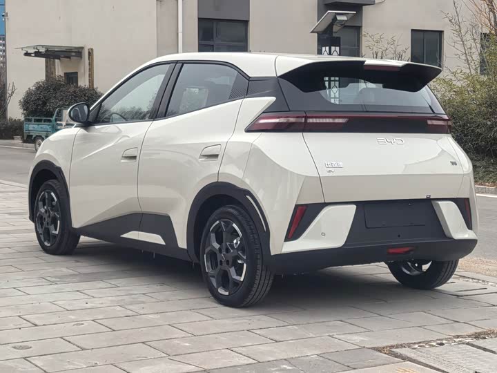 Фото 4 - BYD Seagull