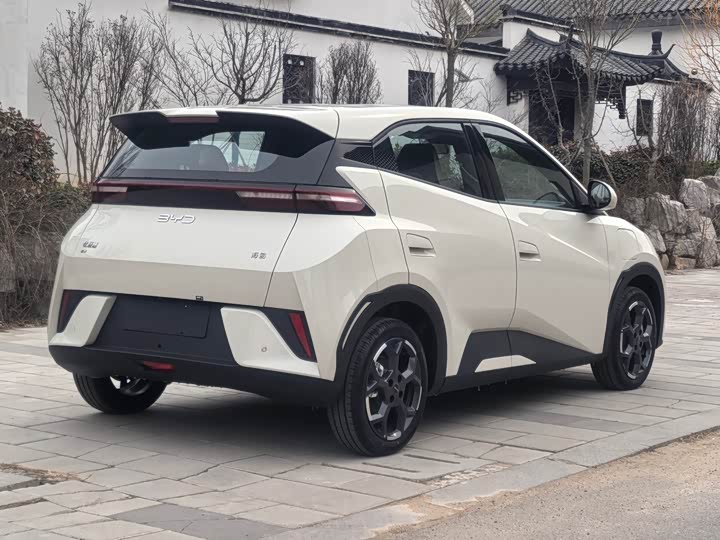 Фото 6 - BYD Seagull