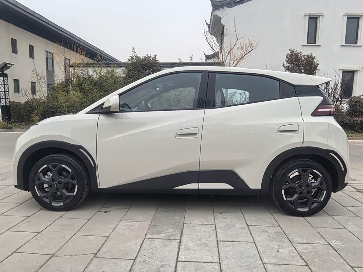 Фото 7 - BYD Seagull