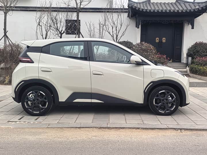 Фото 8 - BYD Seagull