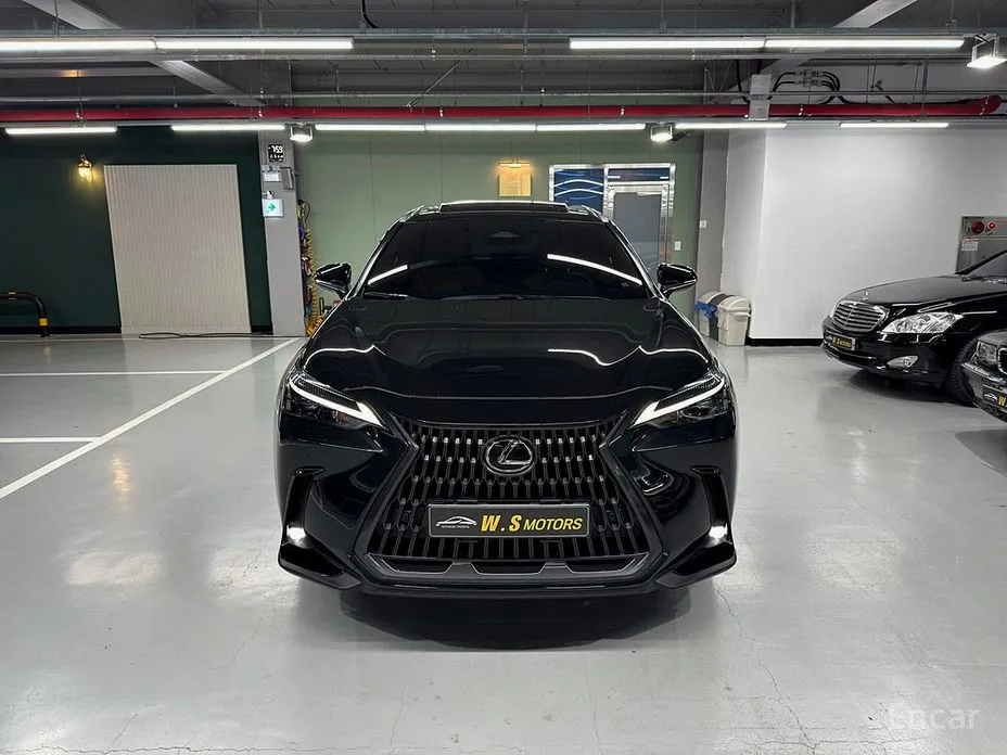 Фото 2 - Lexus NX