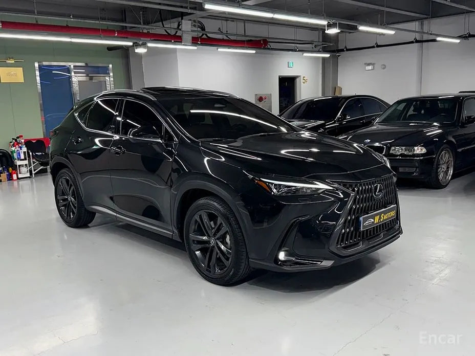 Фото 3 - Lexus NX