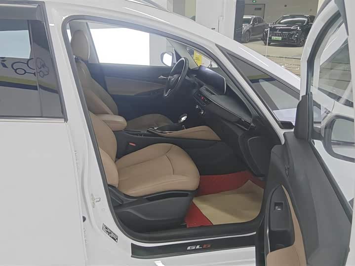 Фото 8 - Buick GL6