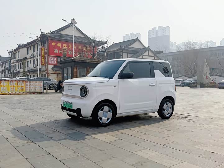 Фото 1 - Geely Galaxy Panda Mini