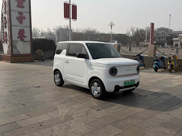 Фото 3 - Geely Galaxy Panda Mini