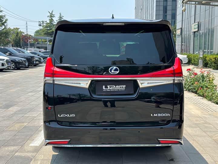 Фото 5 - Lexus LM