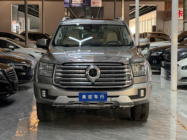 Фото 2 - Great Wall Shanhai Poer