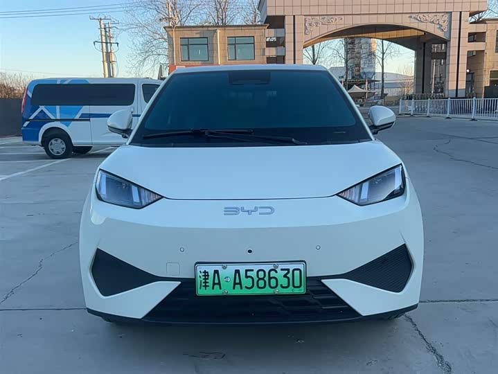 Фото 1 - BYD Seagull