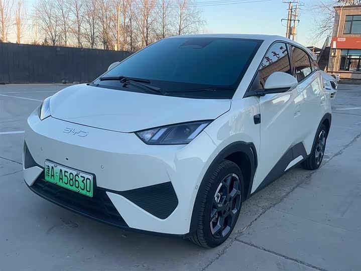 Фото 6 - BYD Seagull
