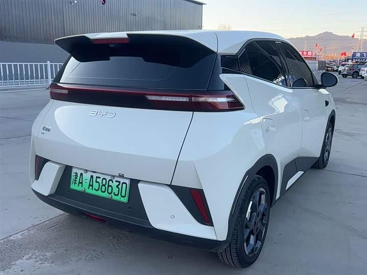 Фото 7 - BYD Seagull