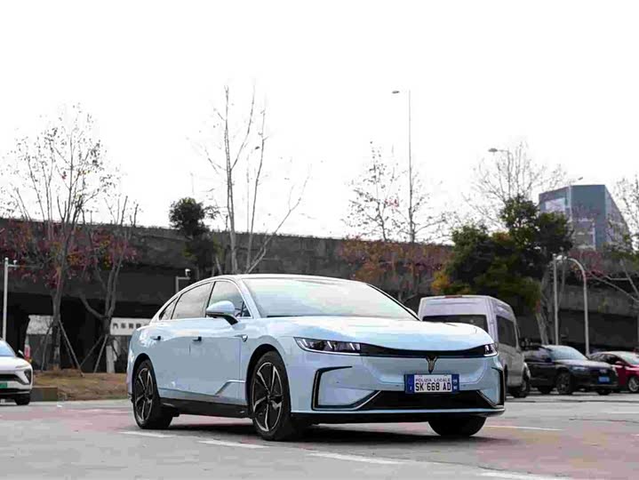 Фото 3 - Voyah Passion