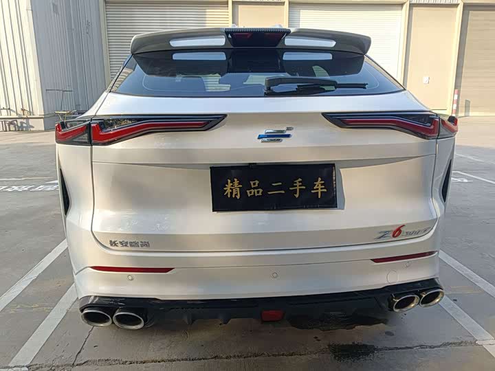 Фото 5 - Changan Oshan Z6