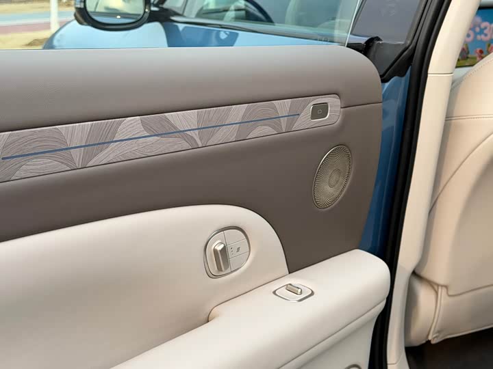 Фото 9 - IM motors LS6