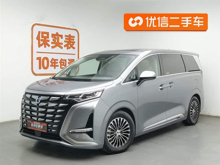 Фото 1 - Denza D9