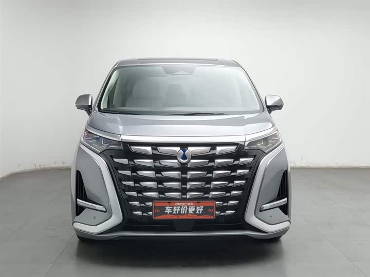 Фото 3 - Denza D9