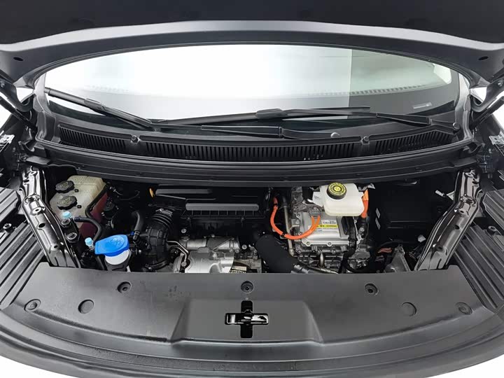 Фото 6 - Denza D9