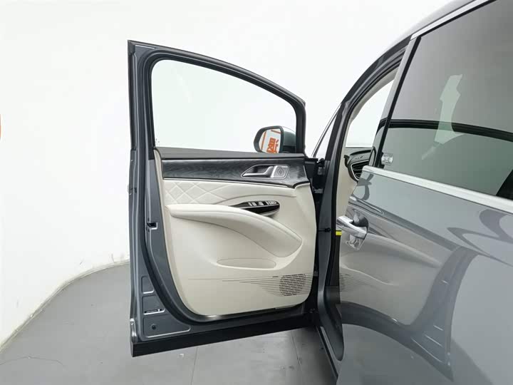 Фото 8 - Denza D9