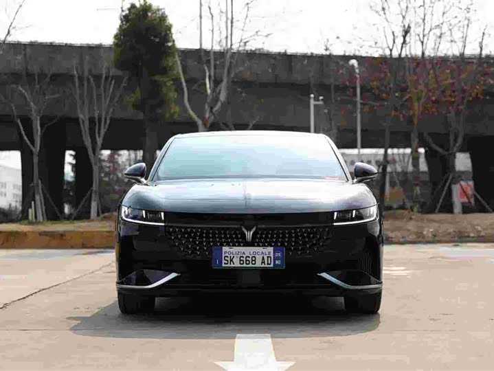 Фото 2 - Voyah Passion