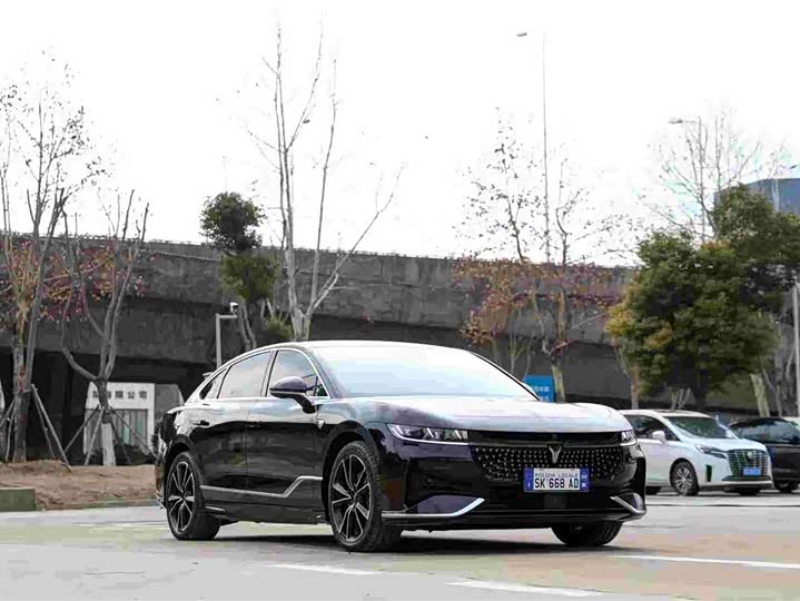 Фото 3 - Voyah Passion