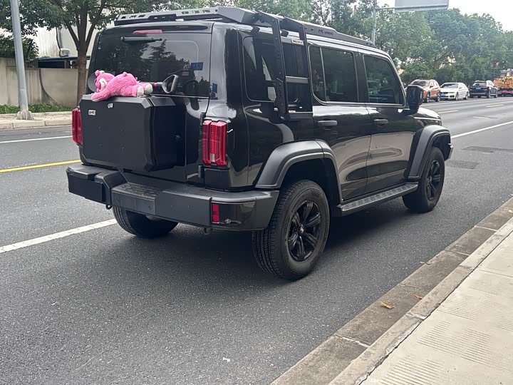 Фото 4 - Tank 300