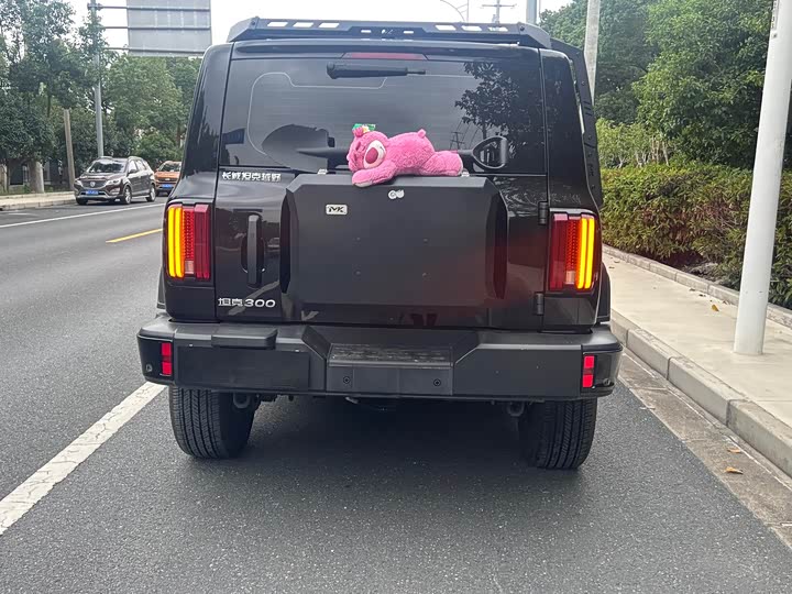 Фото 6 - Tank 300