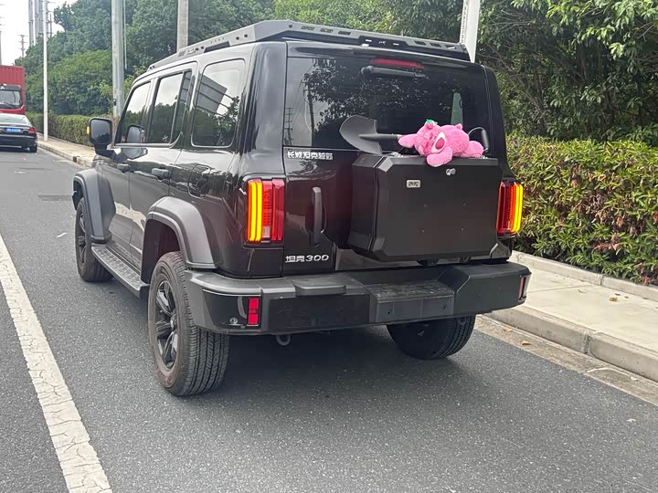 Фото 7 - Tank 300