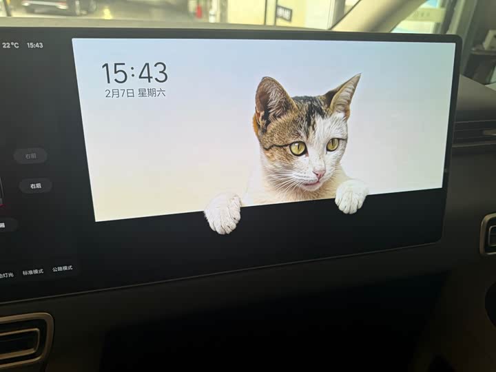 Фото 8 - LiXiang Mega