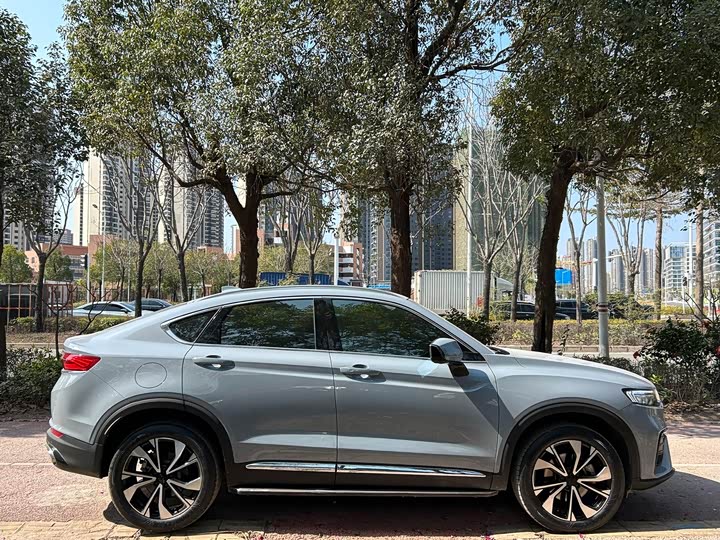 Фото 7 - Geely Tugella S