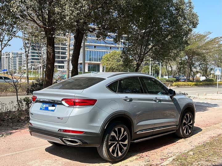 Фото 9 - Geely Tugella S