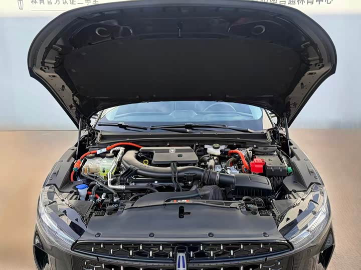 Фото 8 - Lincoln Z (Zephyr)