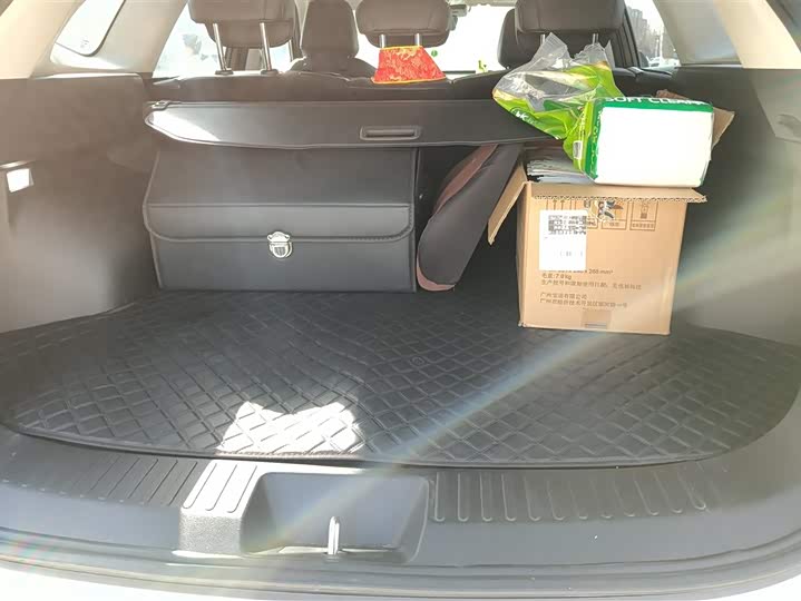 Фото 4 - Haval Ruge Max