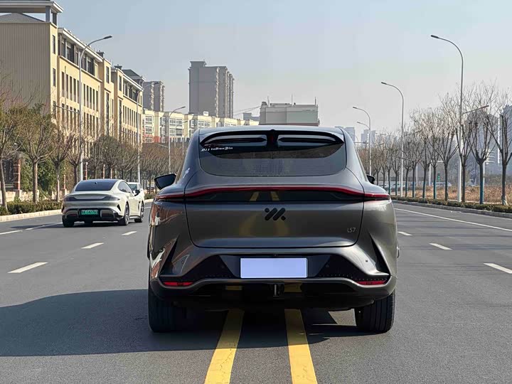 Фото 8 - IM motors LS7