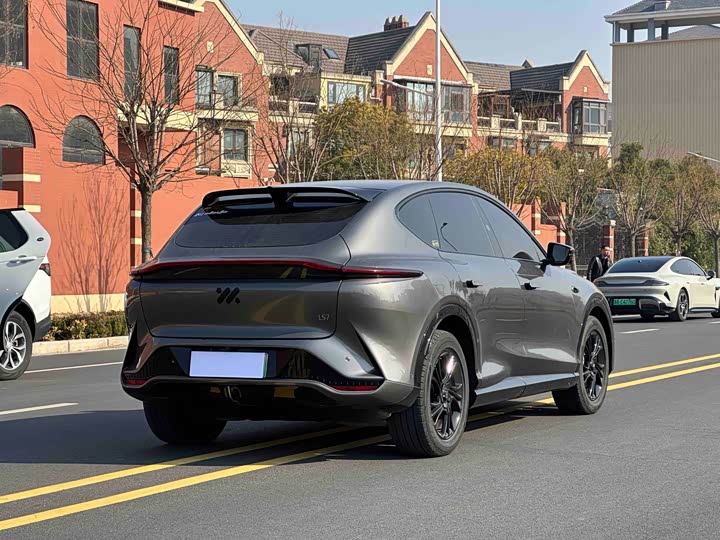 Фото 9 - IM motors LS7