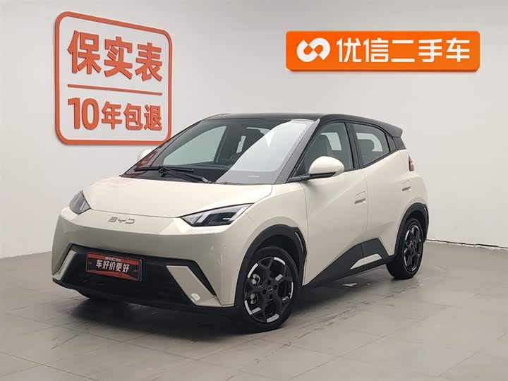 Фото 1 - BYD Seagull