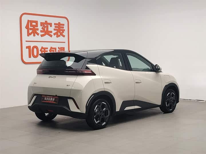 Фото 2 - BYD Seagull