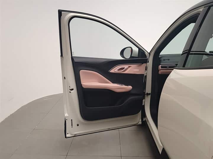 Фото 8 - BYD Seagull