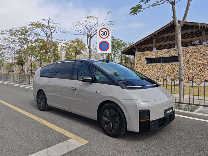 Фото 3 - LiXiang Mega