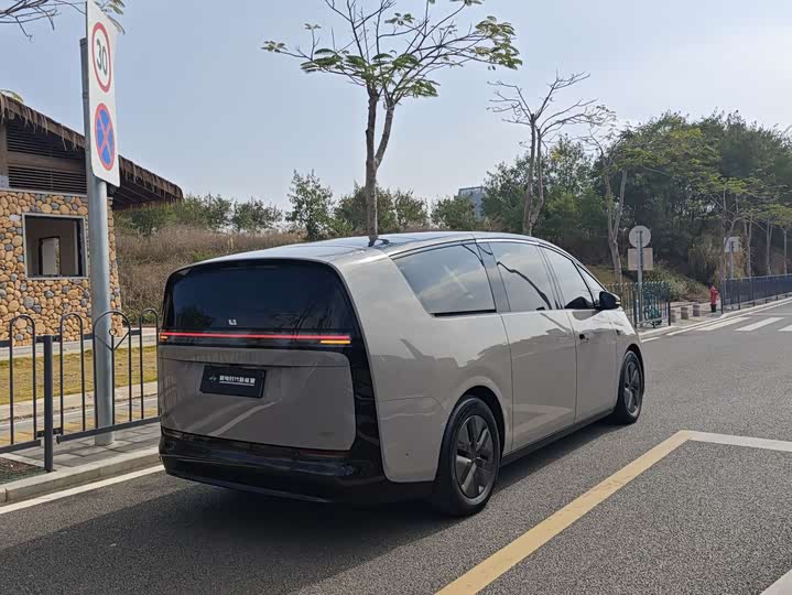 Фото 6 - LiXiang Mega