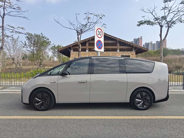 Фото 7 - LiXiang Mega