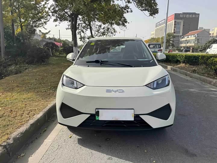 Фото 2 - BYD Seagull