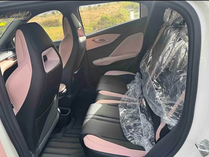 Фото 4 - BYD Seagull